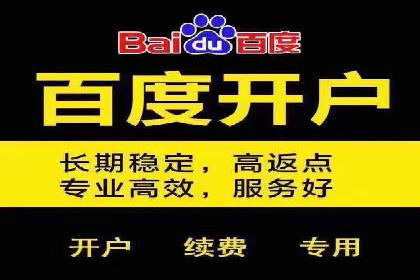 SEM竞价托管代运营成功案例解析